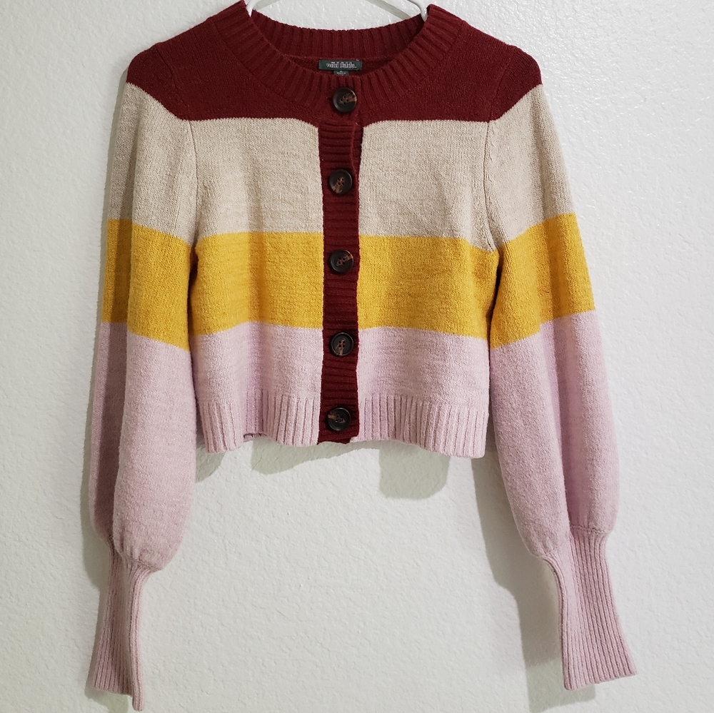 Wild Fable crop sweater